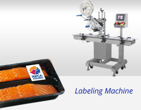 Labeling Machine