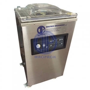 Standing Vacuum Packing Machine